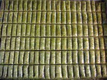 Ankara Next Level AVM �i�ek sipari�i sitesi Essiz lezzette 1 kilo Fistikli D�r�m 