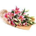 Ankara Nata Vega AVM �i�ek�iler 4 adet pembe lilyum buketi 