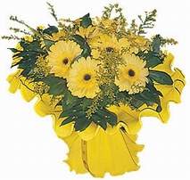 Ankara Panora AVM �i�ek�i ma�azas� 9 adet sari g�zel gerbera