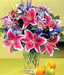 Ankara G�lba�� �ar�� AVM �i�ek ma�azas� , �i�ek�i adresleri Sevgi bah�esi �zel  bir tercih