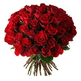 Ankara K�z�lay Al��veri� Merkezi AVM �i�ek �i�ek�i , �i�ek�ilik  33 adet k�rm�z� g�l buketi