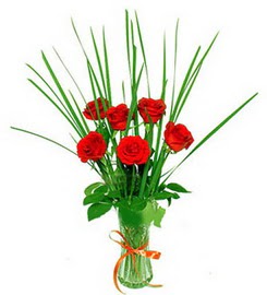 Ankara K�z�lay Al��veri� Merkezi AVM �i�ek �i�ek�i , �i�ek�ilik  6 adet k�rm�z� g�llerden vazo �i�e�i
