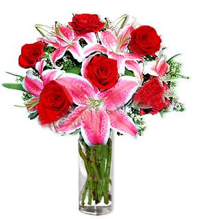 Ankara Antares Al��veri� merkezi AVM �i�ek yolla 1 dal cazablanca ve 6 k�rm�z� g�l �i�e�i
