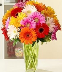 Ankara Eryaman G�ksu AVM �i�ek servisi , �i�ek�i adresleri 15 adet gerbera �i�ek vazosu