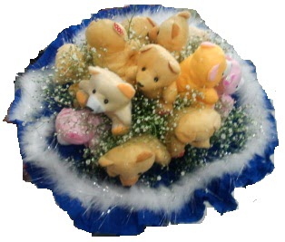 12 adet pelu� ay�dan ay� buketi