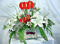 Ankara G�lba�� �ar�� AVM �i�ek ma�azas� , �i�ek�i adresleri Anthurim Kazablanka  g�l