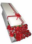 Ankara Ankamall AVM �i�ek�i telefonlar� 11 adet 1.kalite magnum g�ller