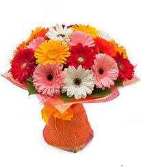 Renkli gerbera buketi Ankara Akvaryum AVM �i�ek yolla