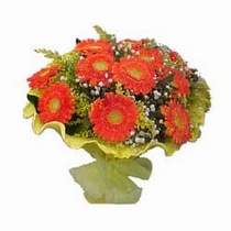 Ankara Antares Al��veri� merkezi AVM �i�ek yolla 11 adet se�me gerbera �i�egi