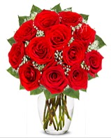 12 adet vazoda k�pk�rm�z� g�l Ankara Podium AVM  cicek , cicekci 