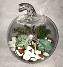 K���k terrarium elma 3 kakt�s Ankara G�lba�� �ar�� AVM �i�ek ma�azas� , �i�ek�i adresleri