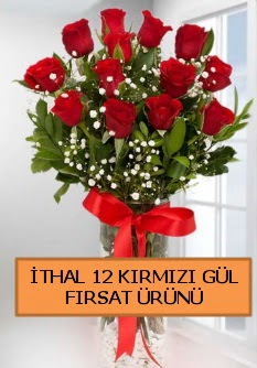  �thal k�rm�z� 12 adet kaliteli g�l Ankara Karum i� ve al��veri� merkezi AVM ucuz �i�ek g�nder