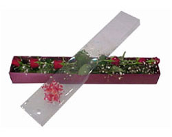 Ankara Akvaryum AVM �i�ek yolla  6 adet kirmizi g�l kutu i�inde