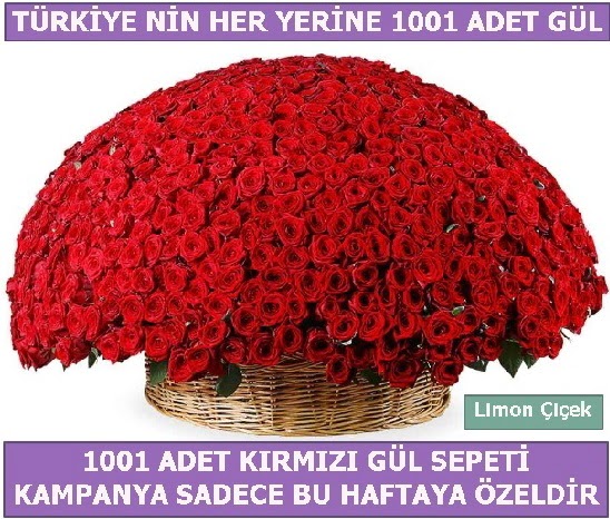 1001 Adet k�rm�z� g�l Bu haftaya �zel Ankara Nata Vega AVM �i�ek�iler