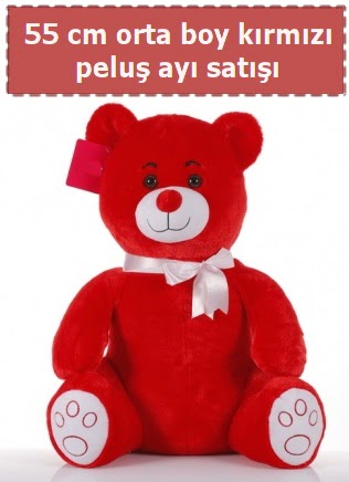 55 cm k�rm�z� orta boy oturan pelu� ay� Ankara Antares Al��veri� merkezi AVM �i�ek yolla