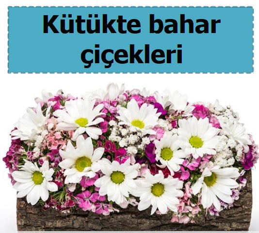 K�t�k i�erisinde k�r �i�ekleri Ankara K�z�lay Al��veri� Merkezi AVM �i�ek �i�ek�i , �i�ek�ilik 